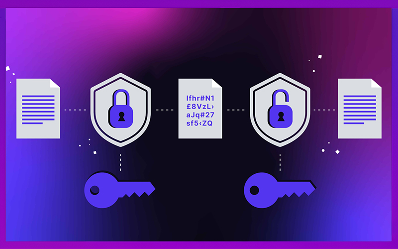 Hệ thống bảo mật website GMNC với mã hóa SSL